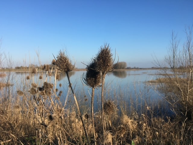 Wat koos jij toen je jong was?