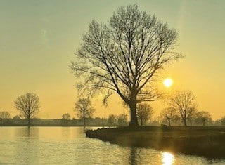 Waarom jij niet dol bent op verandering, deze 4 fases zijn er